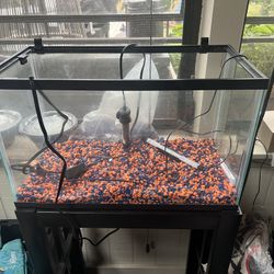 Two Fish Tanks And Supplies