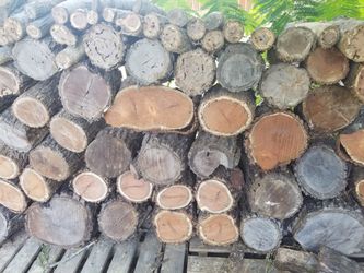 Mesquite,oak and Pecan