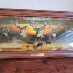 Light With Bucks/Deer