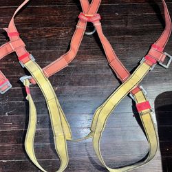 Safety Harness