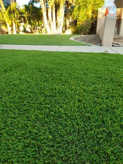 artificial grass