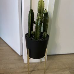 Artificial Cactus With Pot