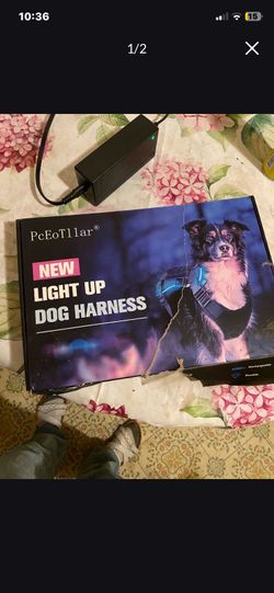 Light up dog harness