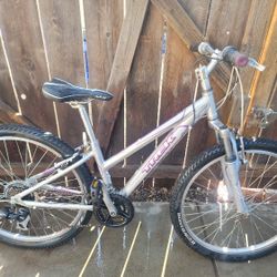 Trek Skye 21 Speed Girls Mountain Bike