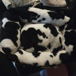 Dog Bed