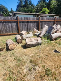 Firewood logs