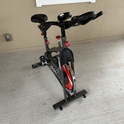 Belt Drive Indoor Cycling Bike with 49 LB Flywheel