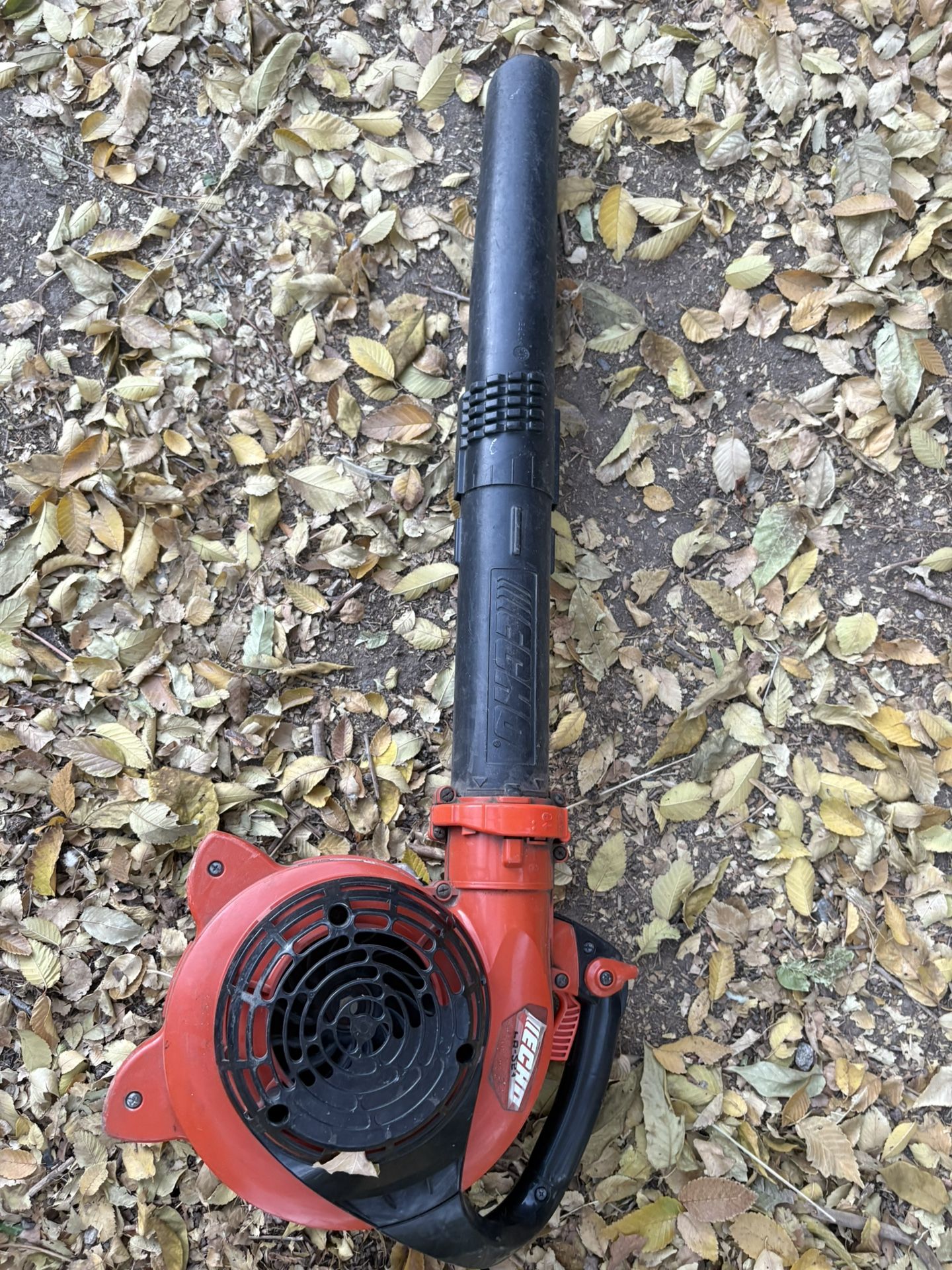 Echo Leaf Blower