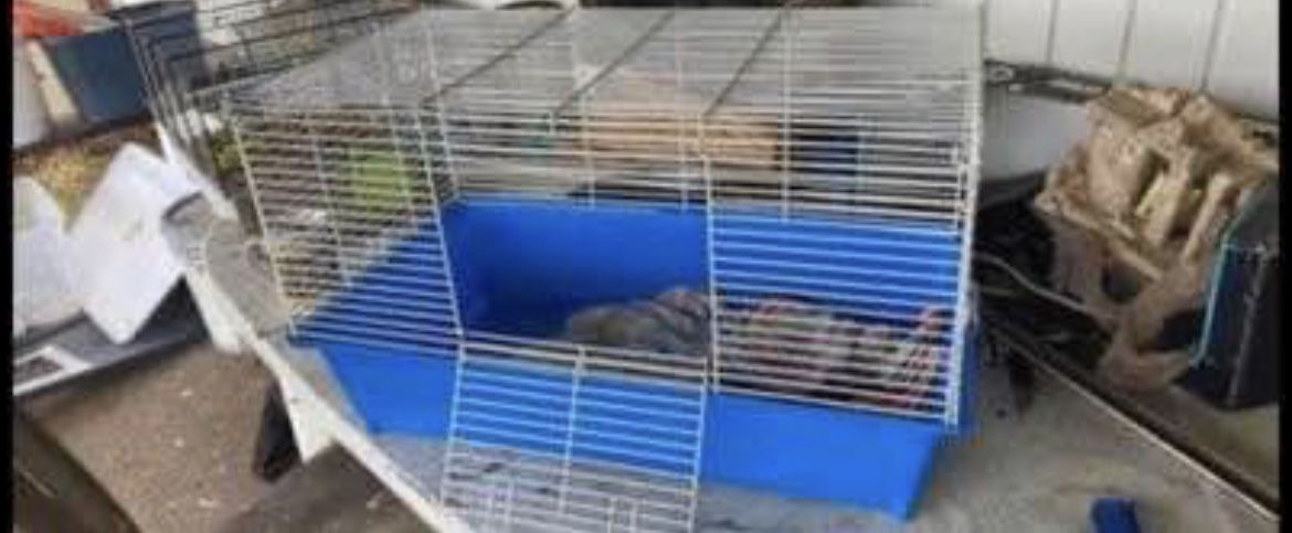 small animal travel cage