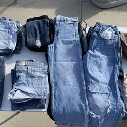 Woman Pants