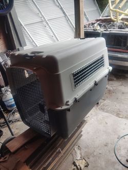 Large dog kennel