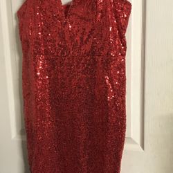 Sequin Dress Chic /Boutique /Rose