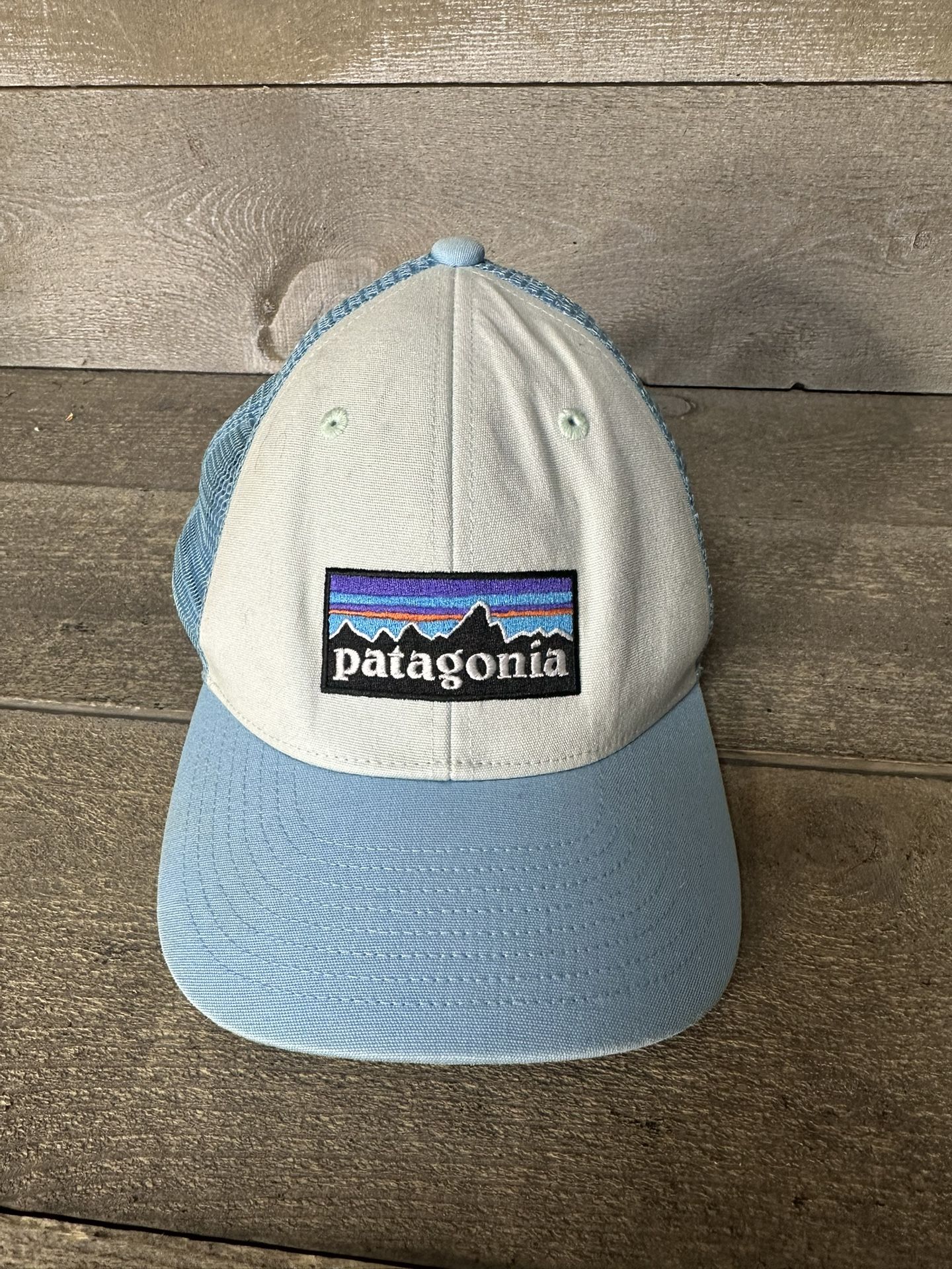 Patagonia Mountain Baseball Cap Hat Mesh Blue Snapback White