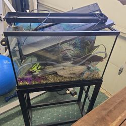 20gal Fish Tank