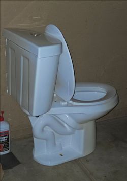 Glacier bay toilet