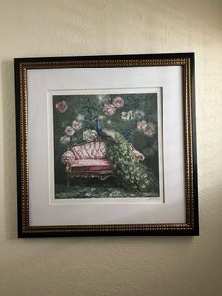 Framed Peacock Art Print