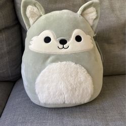  Squishmallows Oakley