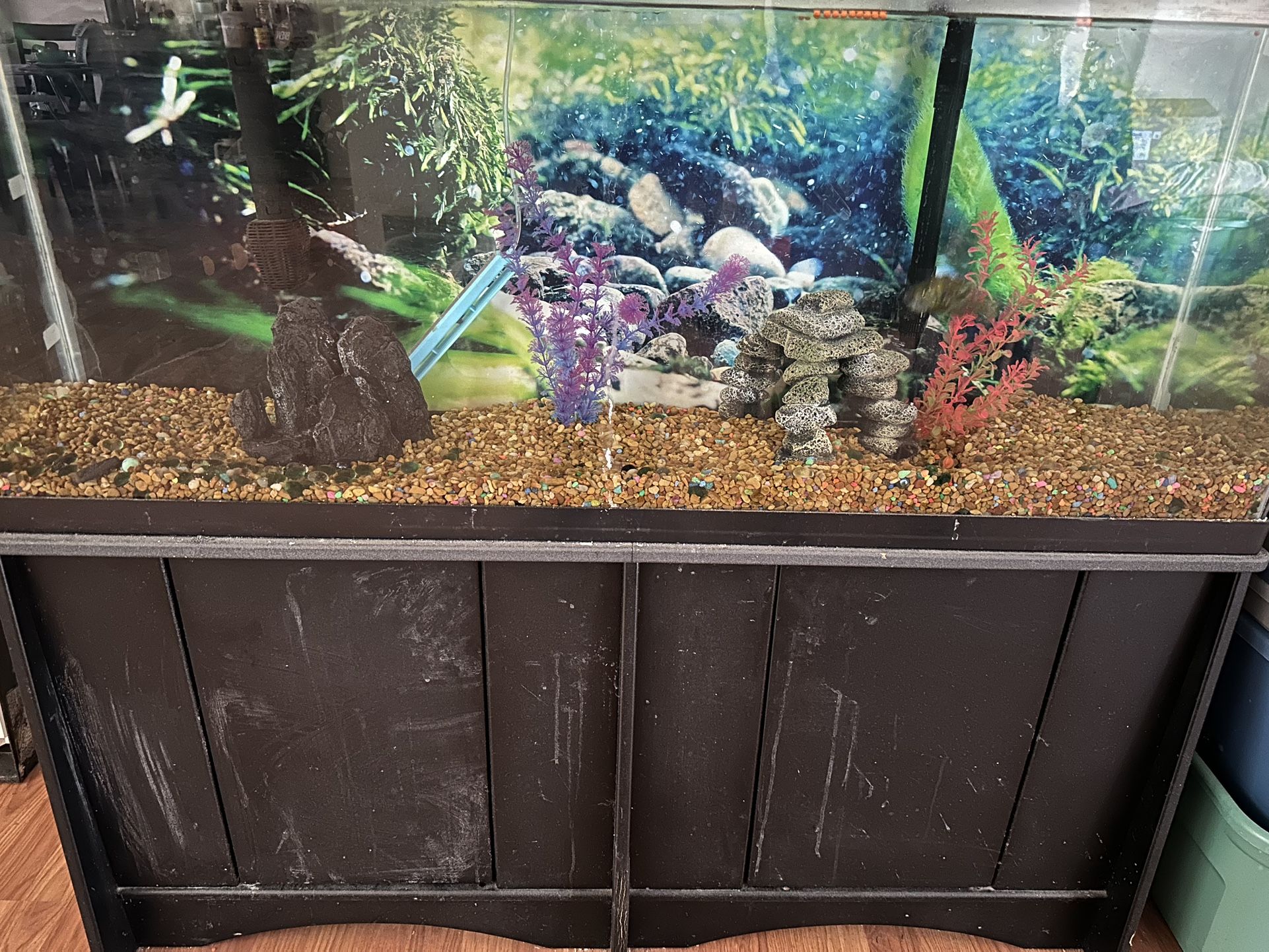 Fish Tank With Everything And 2 Pumps