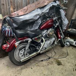 2002 Sportster