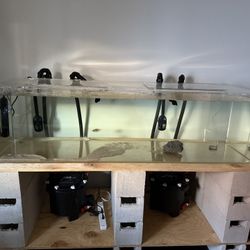 150 Gal Fish Tank