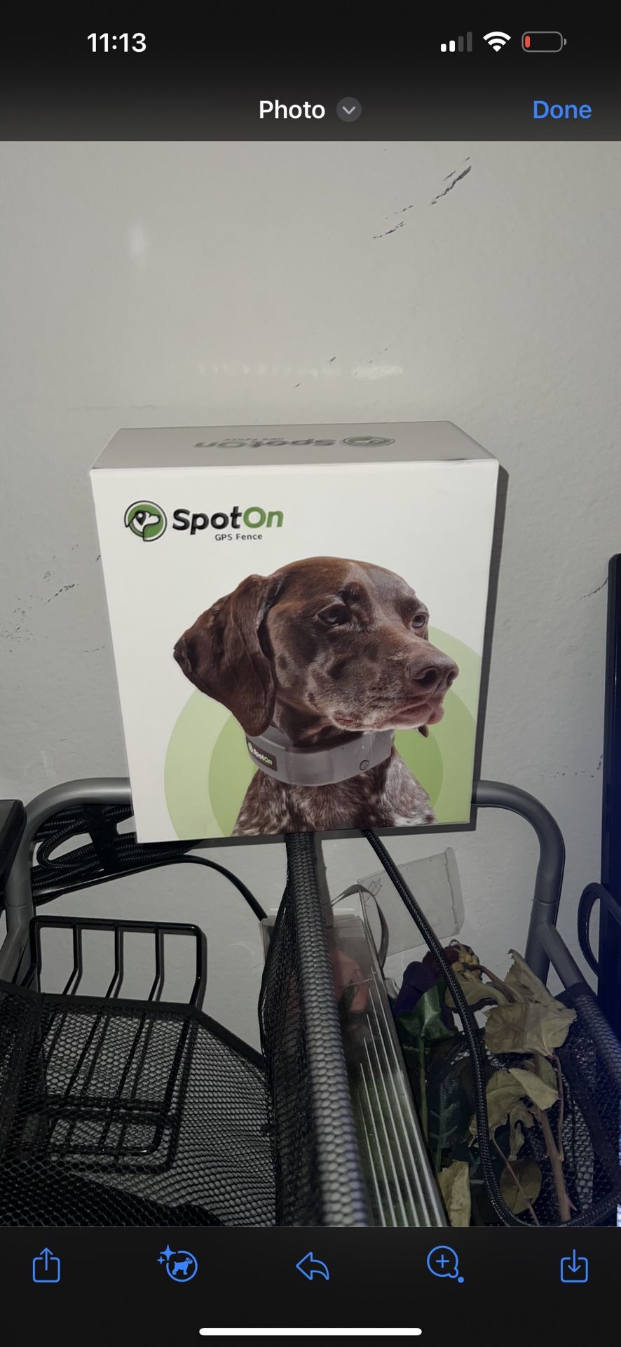 Spot on GPS Dog Collar