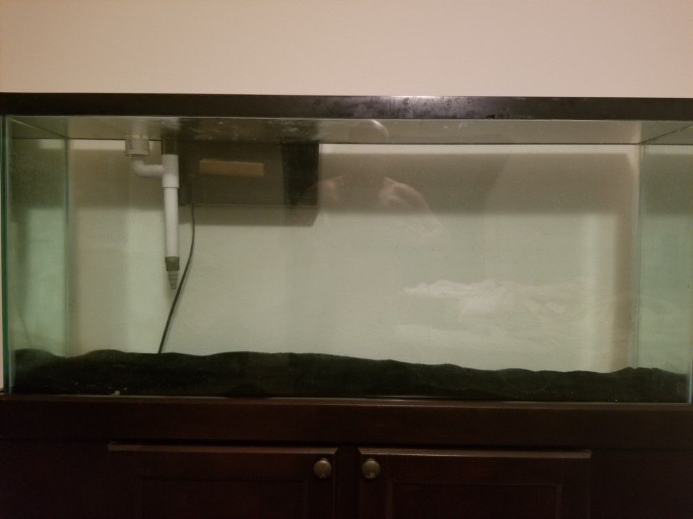 Aquarium for Sale in Kissimmee, FL OfferUp