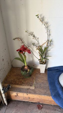 1 Flower Artificial In Pots