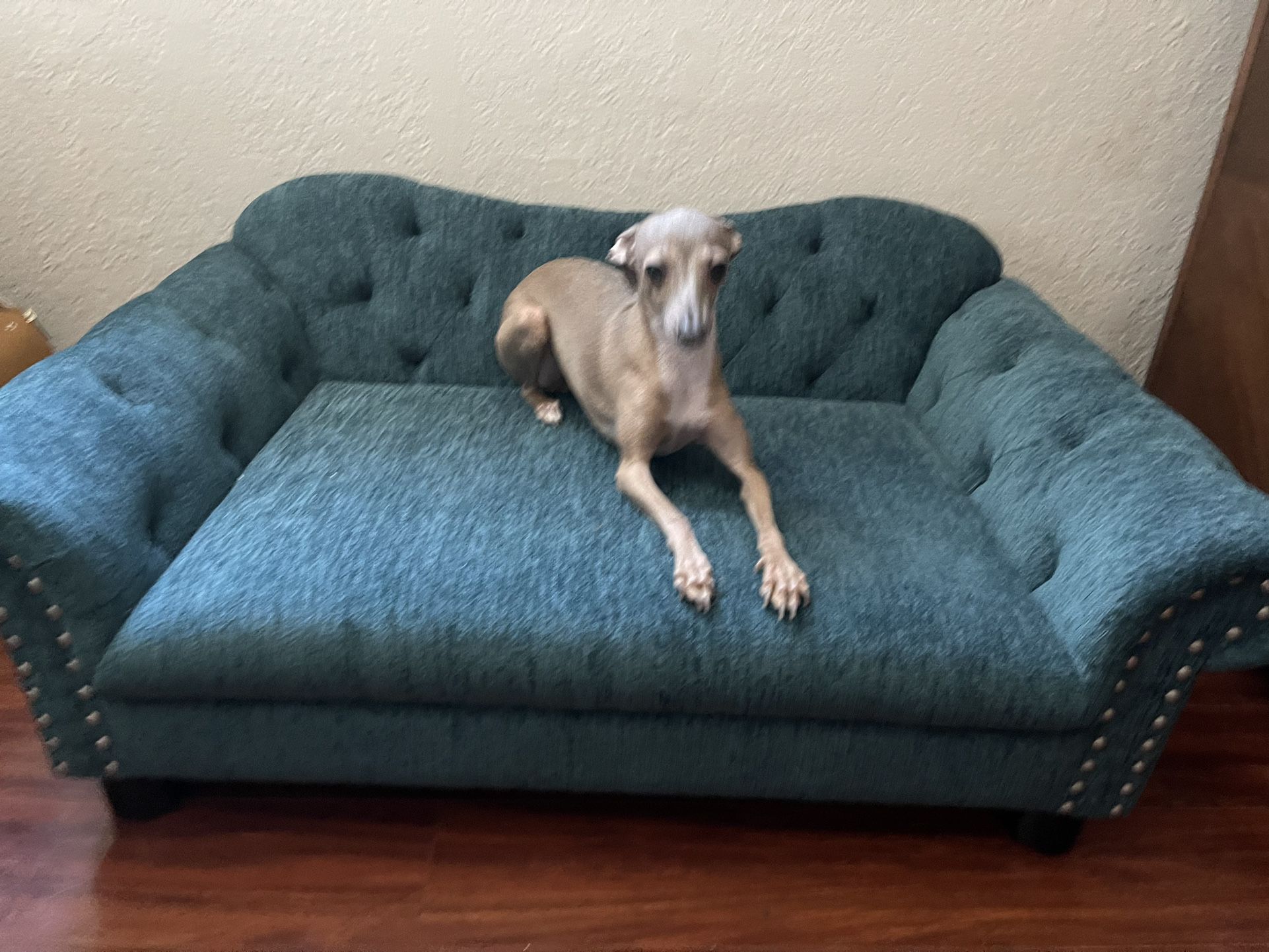 La-Z Boy Dog Couch