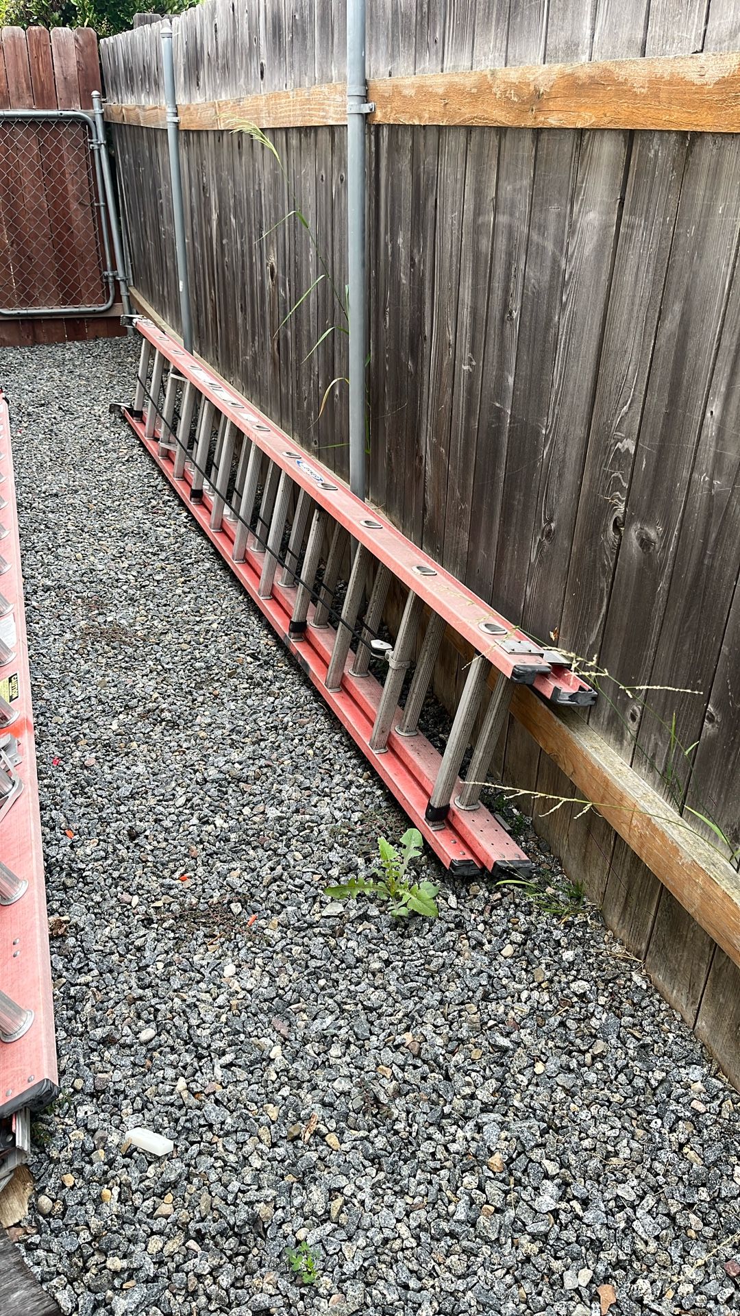 Werner Ladder