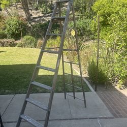 8 Ft Ladder 