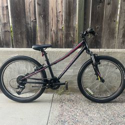 Specialized Hotrock / 24" Tires / 8 Speed / Kids MTB