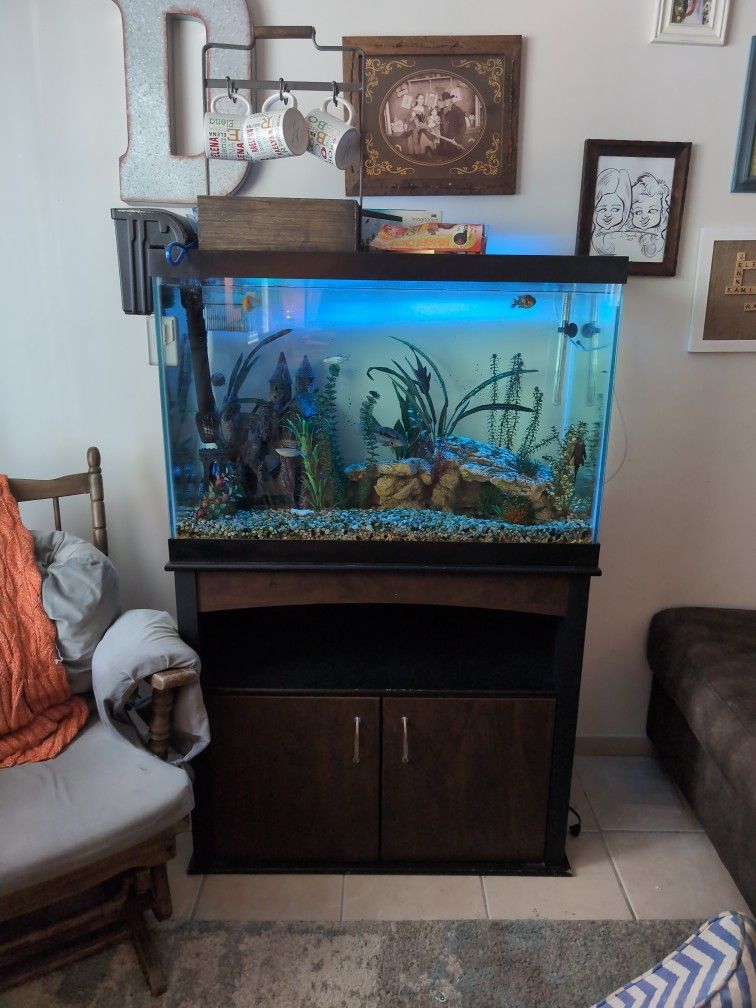 65 Gallon Fish Tank