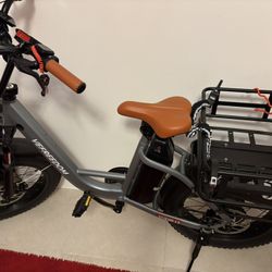 Electric Bike