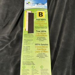 GermGuardian Filter B HEPA Pure Genuine Air Purifier Replacement Filter, Removes 99.97% of Pollutants for AC4825, AC4300, AC4900, AC4825DLX, AC4850, C