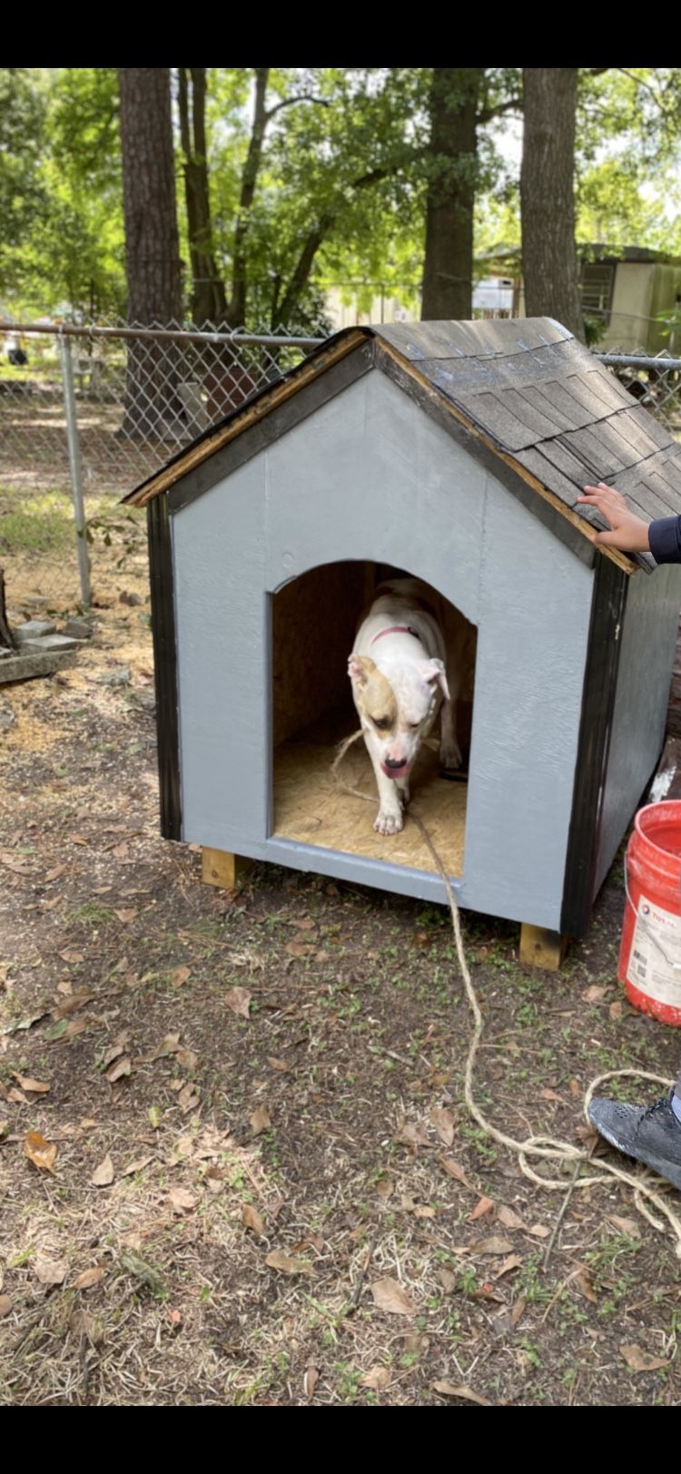 Dog House