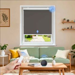 Grandekor Smart Motorized Roller Shade Blinds