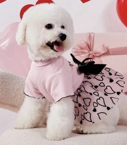 ropa para tu mascota