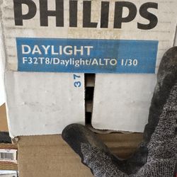  T8 Fluorescent Bulbs 4 Foot