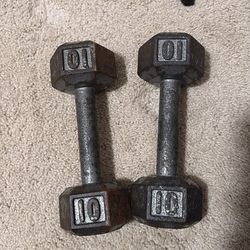10 Lb/Pound Dumbbells (Pair)