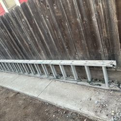 Ladder Werner 20ft