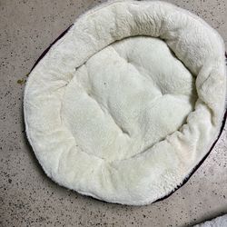 Large dog bed