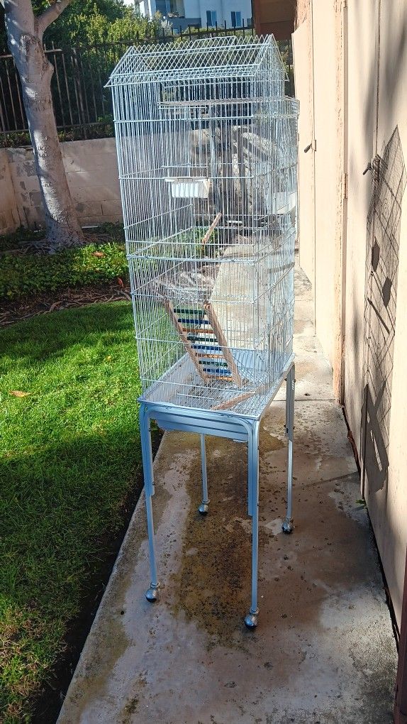 Bird Cage 