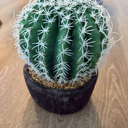 9” Artificial Cactus 