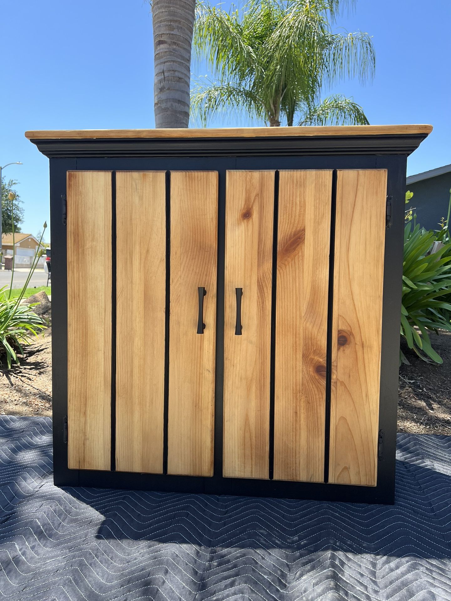 2 Door Cabinet