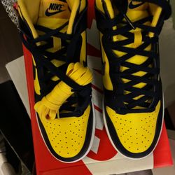Michigan High top Dunks 