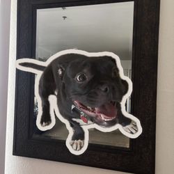 Wall Mirror with Brown Frame 