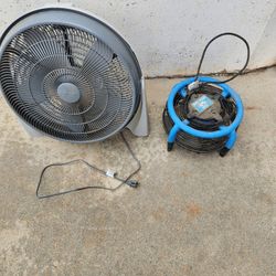 Fans $50