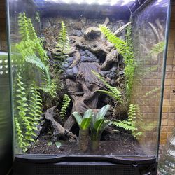 Bio Active Vivarium 