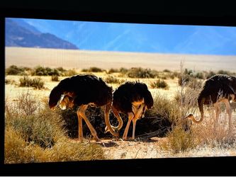 Sony BRAVIA 60” LED HDTV + Sony 5.1 Surround Sound System & Blu-Ray Player