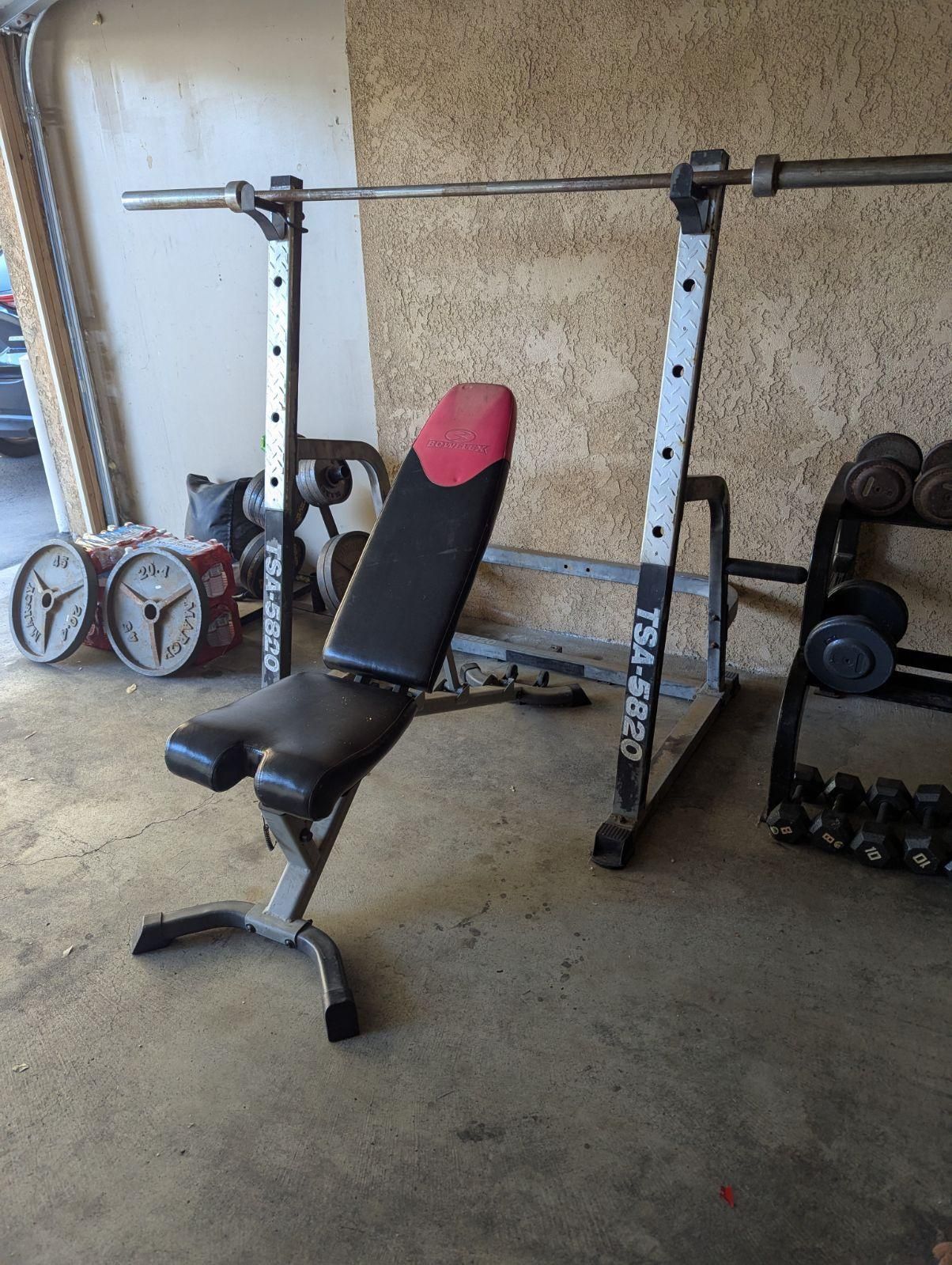 Bench Press And Bowflex Workout Bench (weights And Bar Not Included)